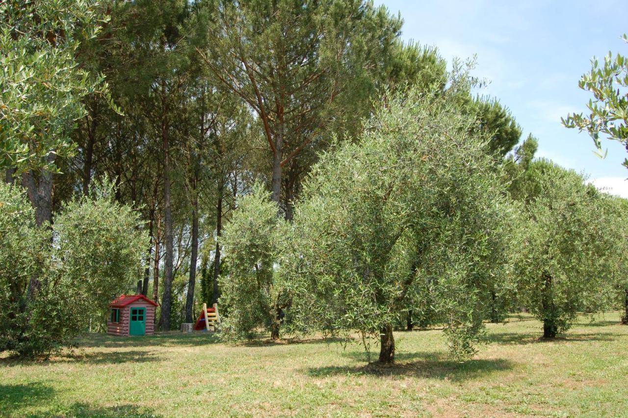 Agriturismo Il Selvino Terricciola Kültér fotó