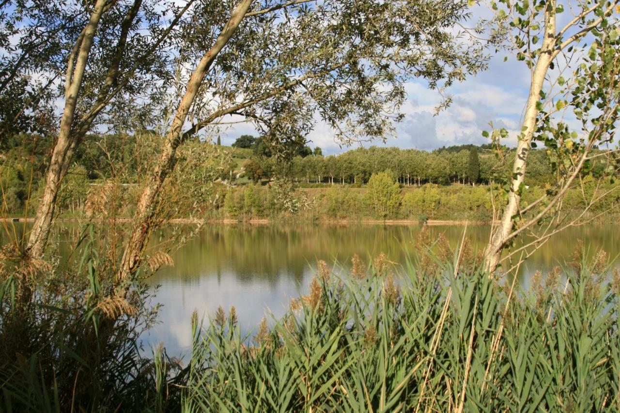 Agriturismo Il Selvino Terricciola Kültér fotó