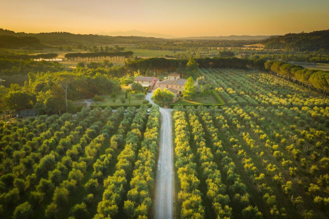 Agriturismo Il Selvino Terricciola Kültér fotó